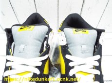 画像7: 未使用　2006年製　Nike SB Dunk Low Bic　VARSITY MAIZE/BLACK　タイガースモデル　サイズ：US10.5 （28.5cm） (7)